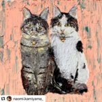 5990CA7E-080C-4B89-A892-4DDD01FFF9C2